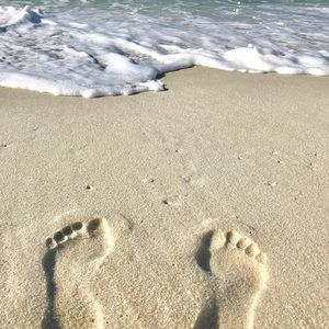 Meet your Posher, Bernice